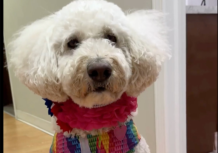 SASSY & HEIDI LARISON, DO